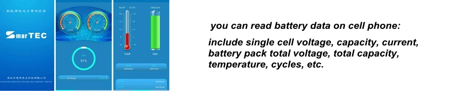 ODM&OEM LiFePO4 Battery 12V 100ah 200ah 300ah for Agv RV Marine Golf Cart Home Energy Solar Storage with Bluetooth APP & Self-Heating